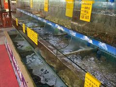 -坛南湾阿强农家乐.海鲜大排档老字号(福州地标美食店)