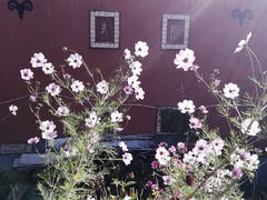 -叠溪松坪沟景区