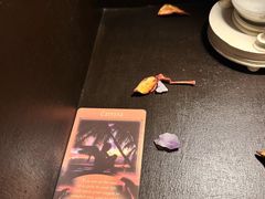 -雪灵魔法世界SHELLY’S TAROT(大良桂畔里店)