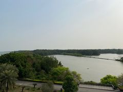 -大湾区中央湿地公园