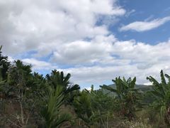 -牙胡梯田
