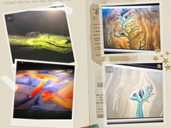 -罗红摄影艺术馆