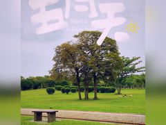 -万绿园
