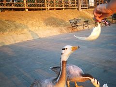 -艾溪湖湿地公园