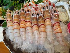 -Mr.Fish鱼鲜生海鲜放题(高德置地冬广场店)