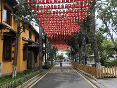 -亭林园-华藏寺