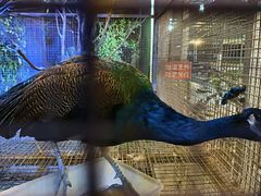 -粮心小农·大头虾亲子生态园(长发店)