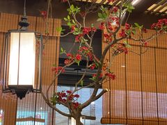 -隆阜號·梧桐树(沃尔玛店)