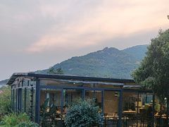 -蘇河湾·新鲁菜·泰山宴(泰山店)
