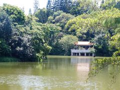 -深圳仙湖植物园