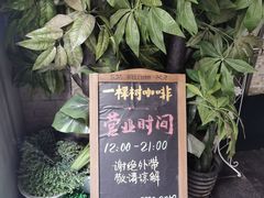 -一棵树咖啡馆(泉乐坊店)