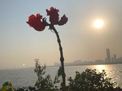 -深圳湾公园(南山区)