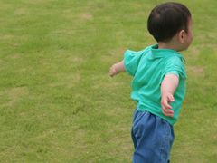 -瑶湖郊野森林公园