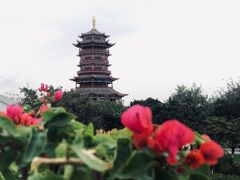 -厦门园林博览苑