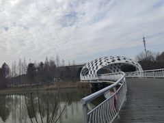 -同里国家湿地公园