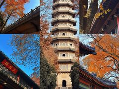 -灵谷景区