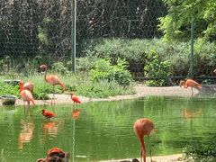 -石家庄市动物园