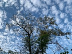 -Wagas沃歌斯(汇智店)