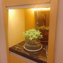 点击看大图 -ROYEA茹彦祛痘·问题肌肤修护中心