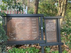-吴山景区