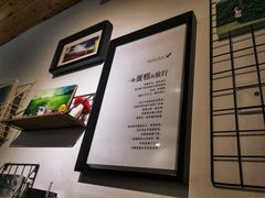 -No Cat 手碟