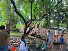 -成都市活水公园