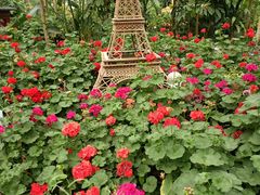 -南宫五洲植物乐园