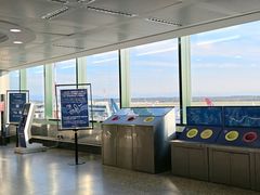 -米兰马尔彭萨国际机场