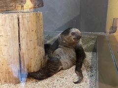 -昆明大悦城未来动物城(螺蛳湾中心店)