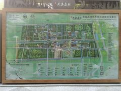 -黄海国家森林公园