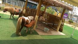 -萌宠亲子动物乐园(槐房万达店)