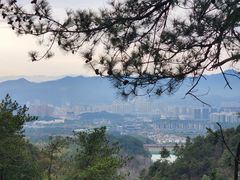 -大奇山国家森林公园