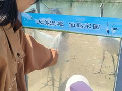 -盐城丹顶鹤湿地生态旅游区