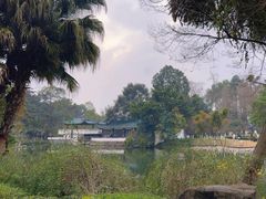 -桂湖森林公园