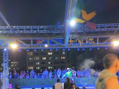-渔家火锅·海鲜自助餐·演艺(亚龙湾天域酒店)