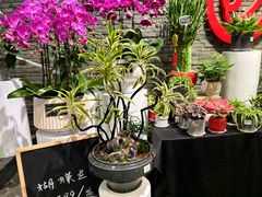 -豆豆花艺(新光天地店)