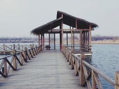 -溱湖国家湿地公园