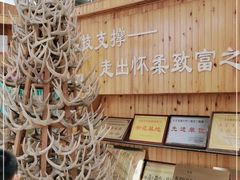 -北京鹿世界主题园