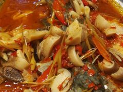 -院8里·少城记忆老川菜(宽窄巷子店)