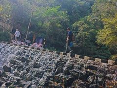 -石台牯牛降景区