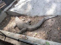-昆明动物园