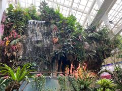 -正佳雨林生态植物园