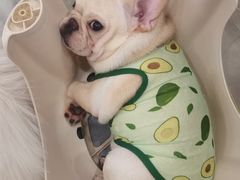 -和它·交个朋友·狗咖猫咖(爱琴海店)