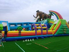 游乐设施-武汉紫薇都市田园