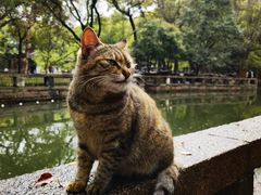 -西园戒幢律寺