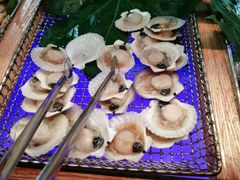 扇贝-盛江山自助料理(奥莱锦辉购物广场店)