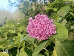 -上海滨江森林公园