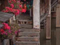 -乌镇东栅景区