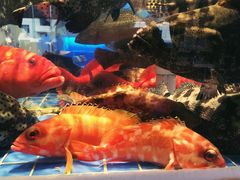 -金苑海鲜酒家(来魅力店)