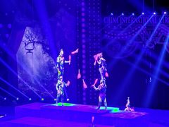 -珠海横琴长隆《卡卡虎奇遇记》